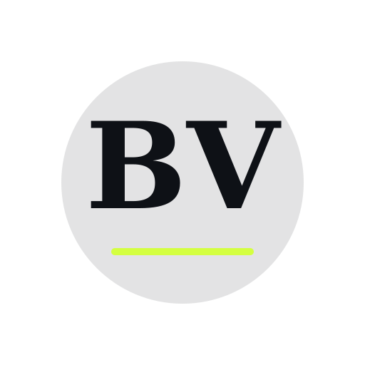 Blue Valley Dryer Cleaning Services logo